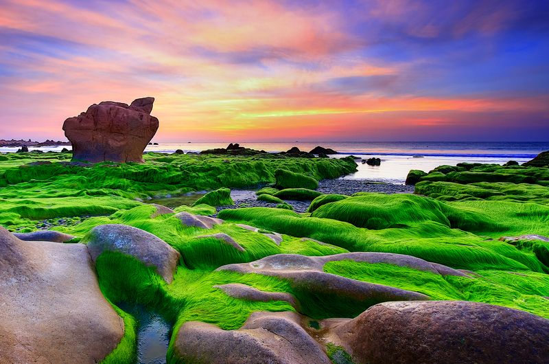 Sunrise Moss on Rock фото превью