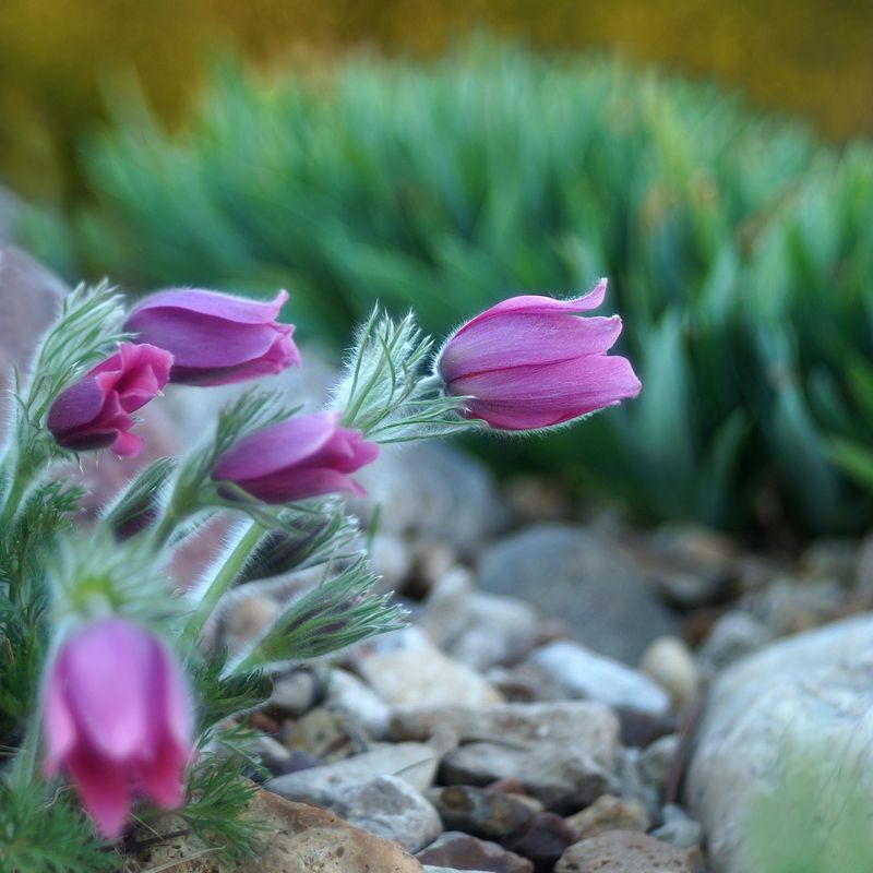 Весна... фото превью