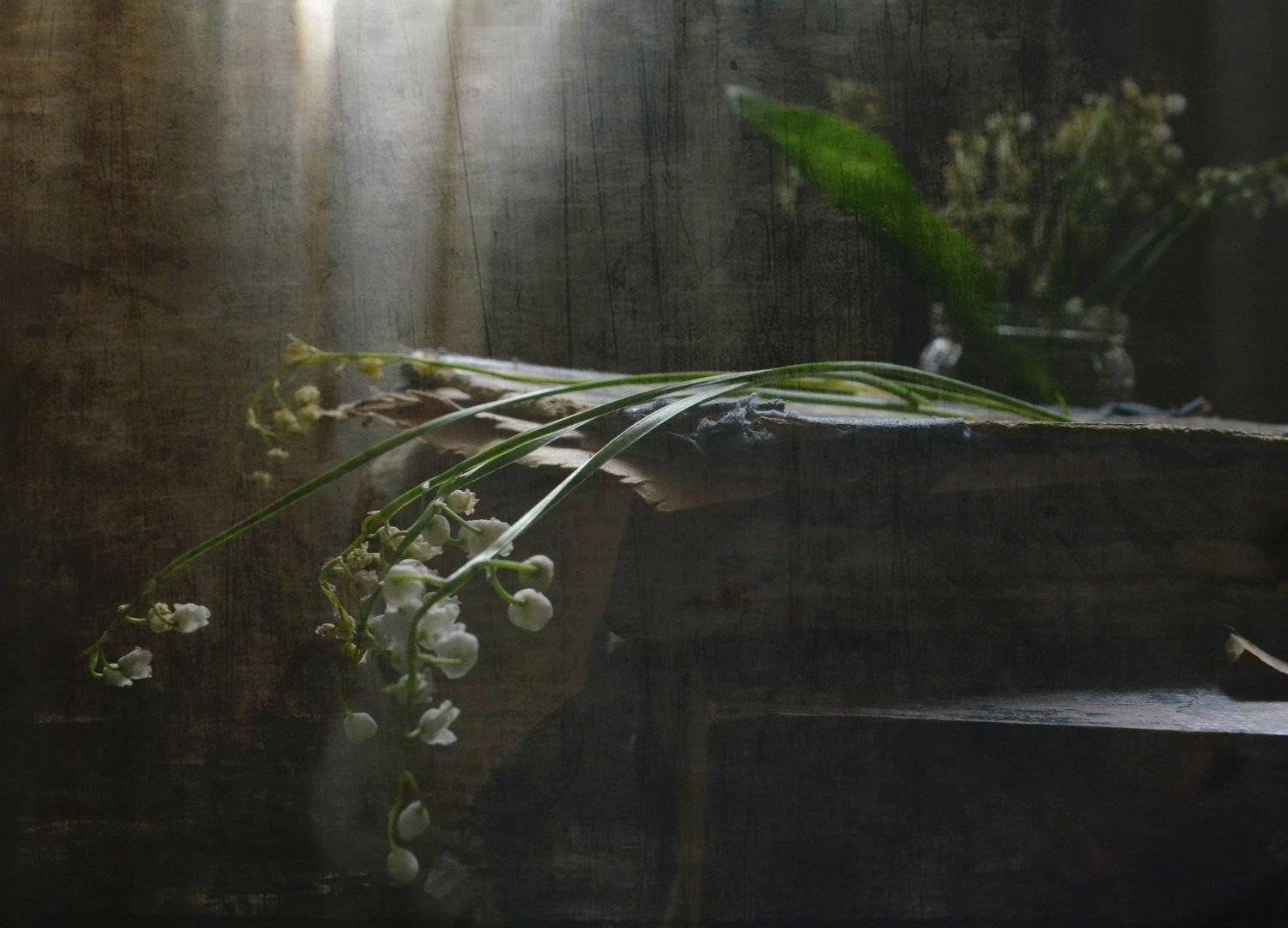 ландыш, окно, книга., Ирина Курмалеева