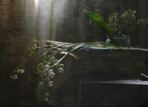 С ландышами