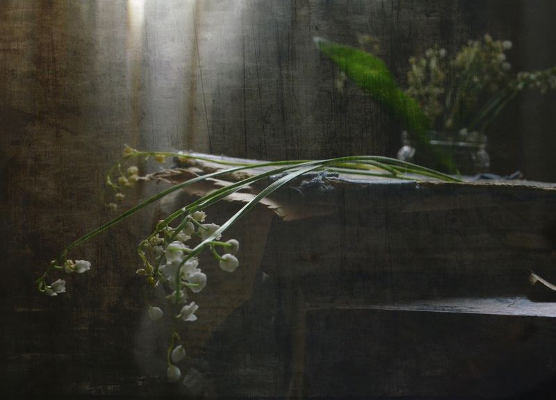 ландыш, окно, книга. С ландышами фото превью