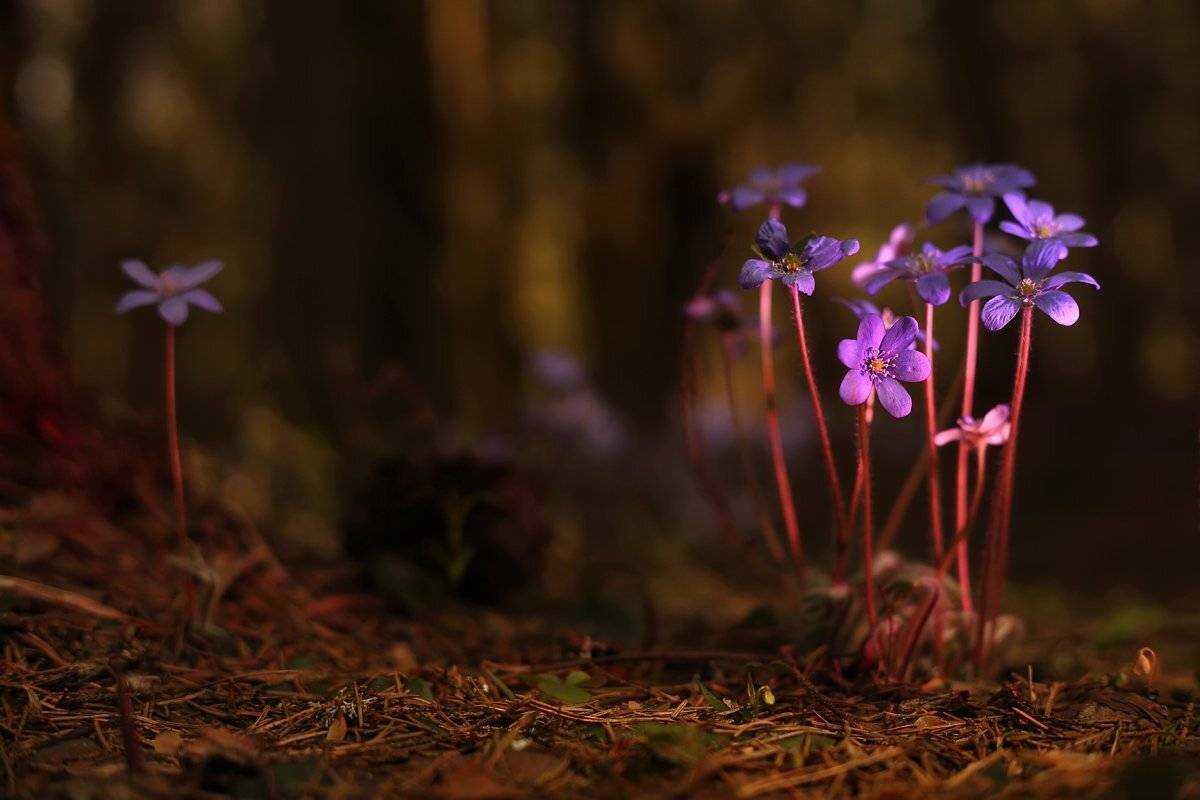 , Сергей Кузнецов