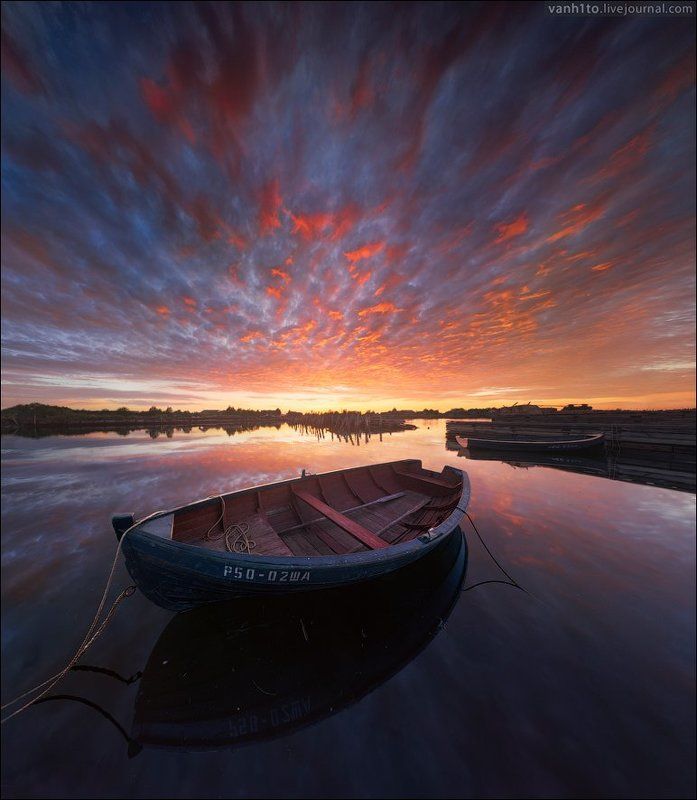 for starters фото превью