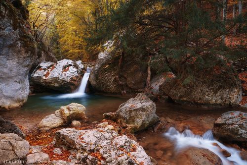 У Тисового водопада.