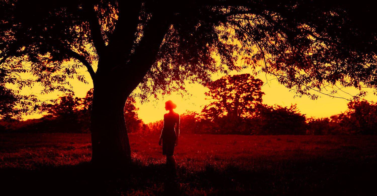 девушка, закат, дерево, силуэт, солотин, Юрий Солотин