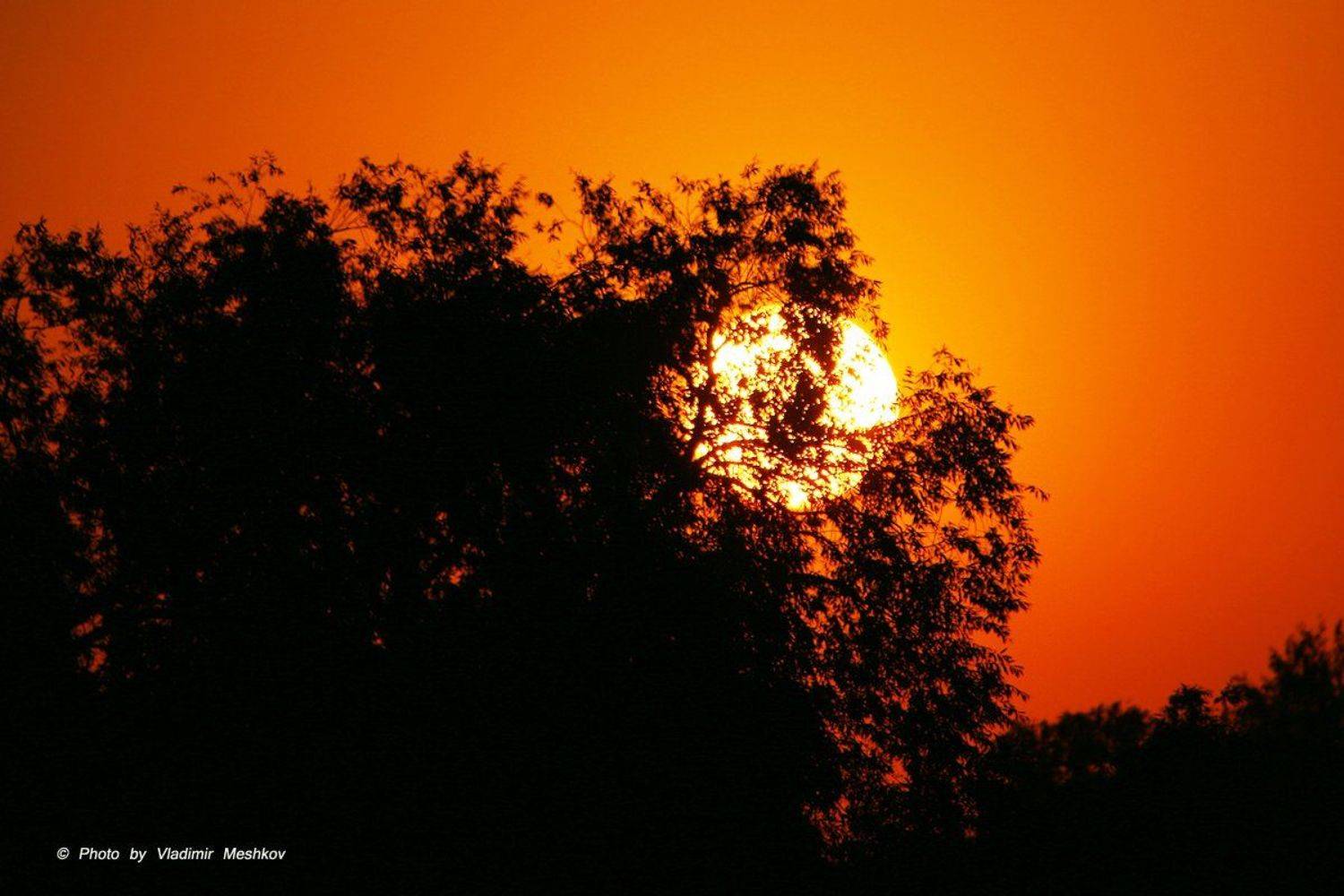 , &copy; =Vladimir Meshkov=