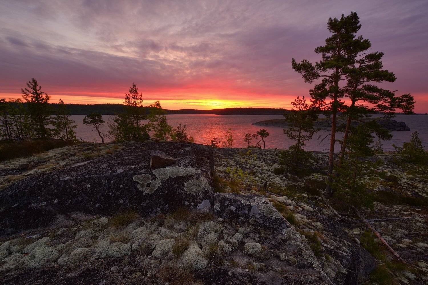 , Максим Евдокимов (www.wildphotorus.ru)