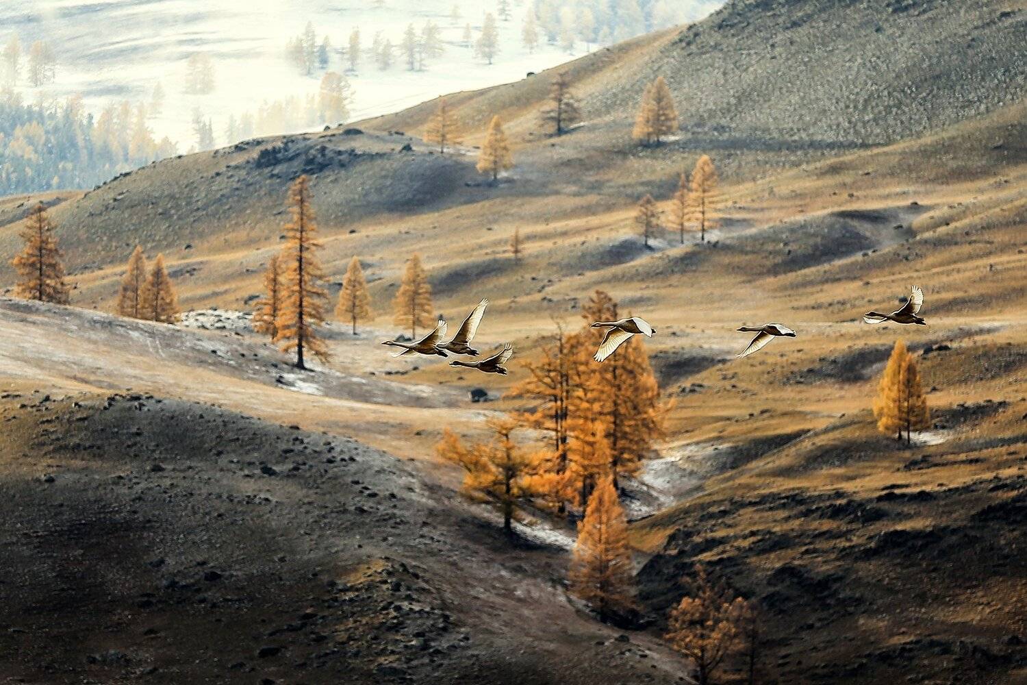 , Андрей Ершов