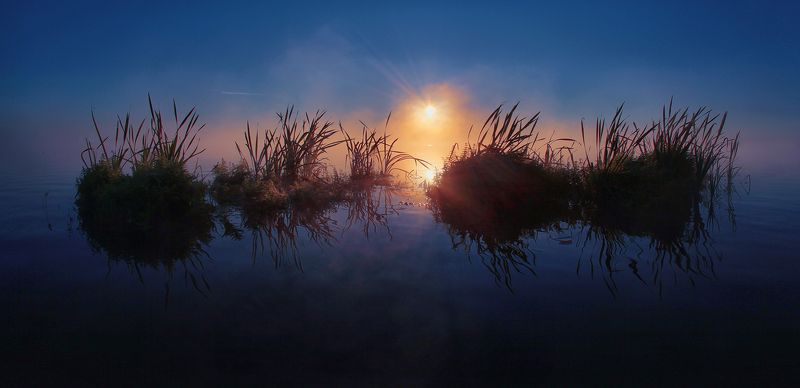 * * * фото превью