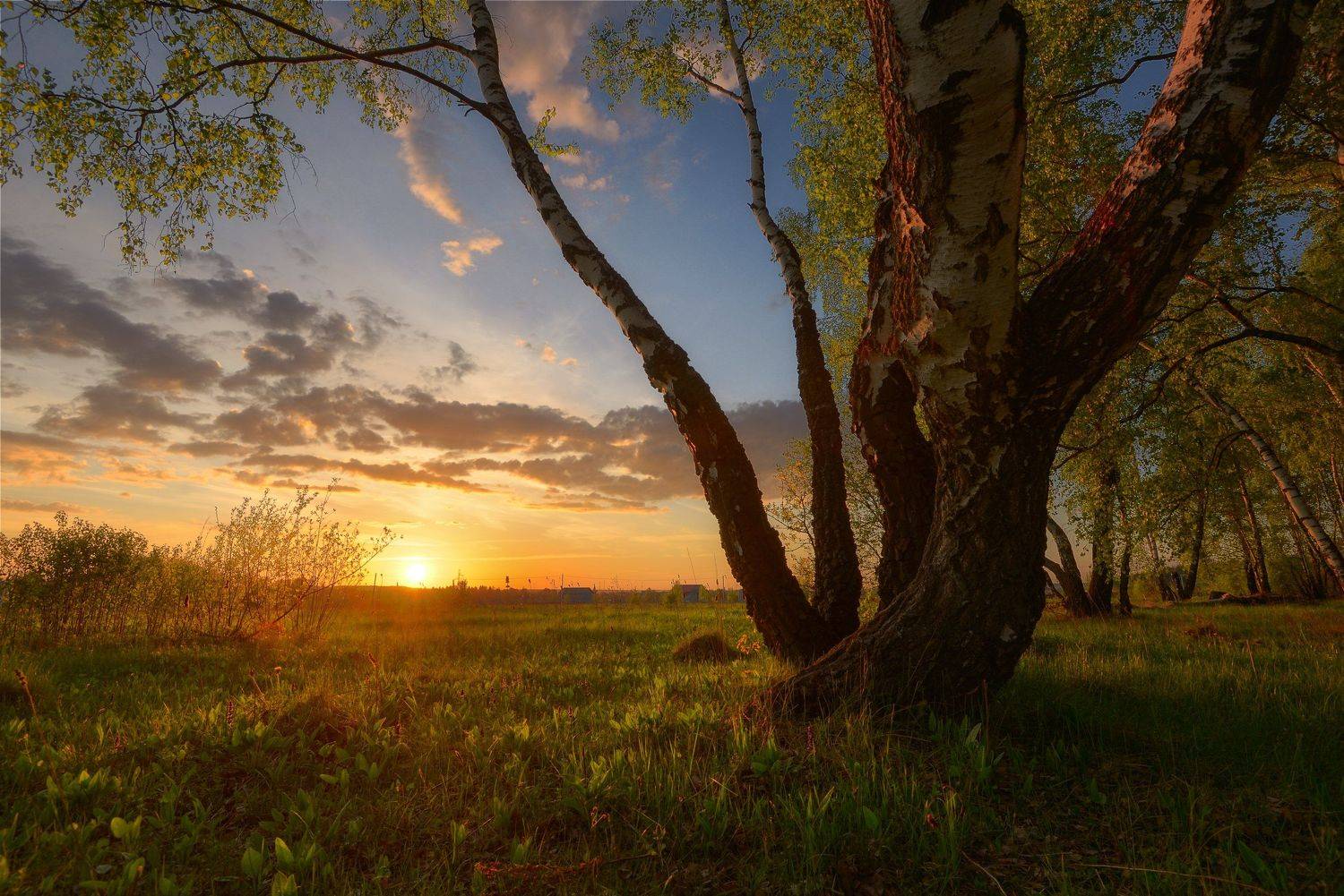 никон, Морозов Юрий