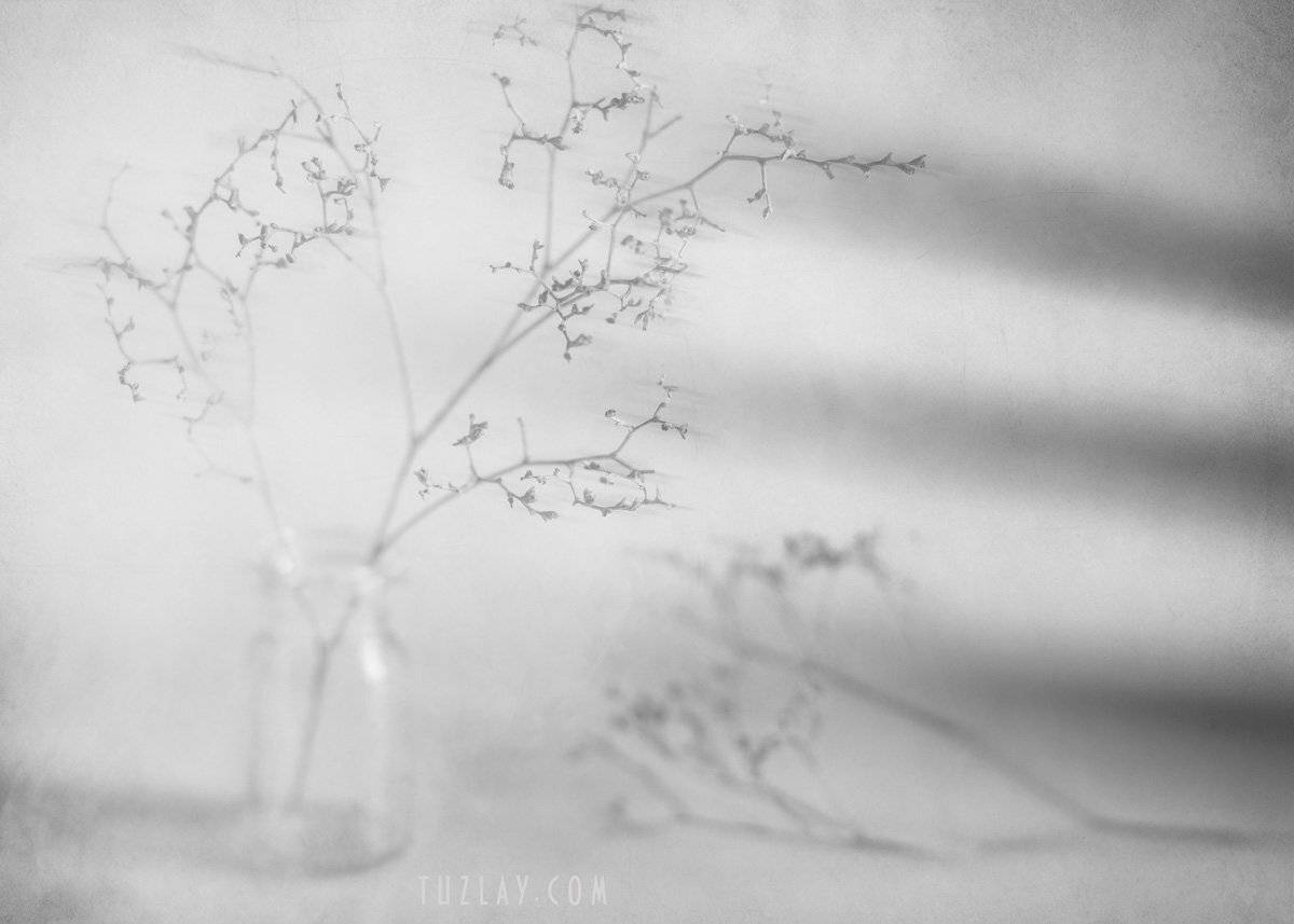 флакон, пузырёк, чб, Владимир Тузлай