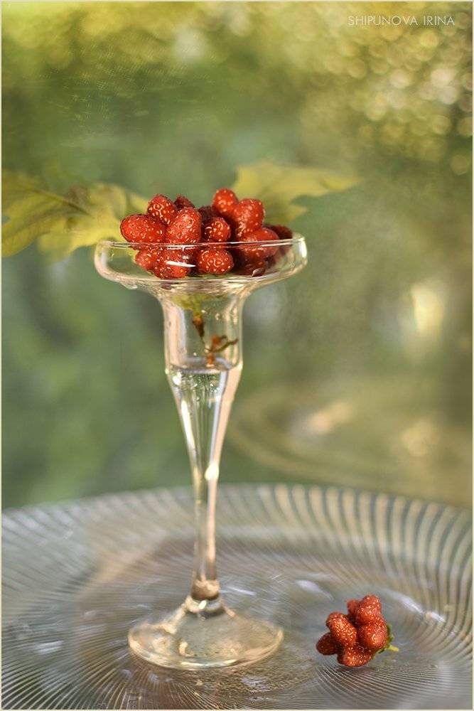 , Шипунова Ирина