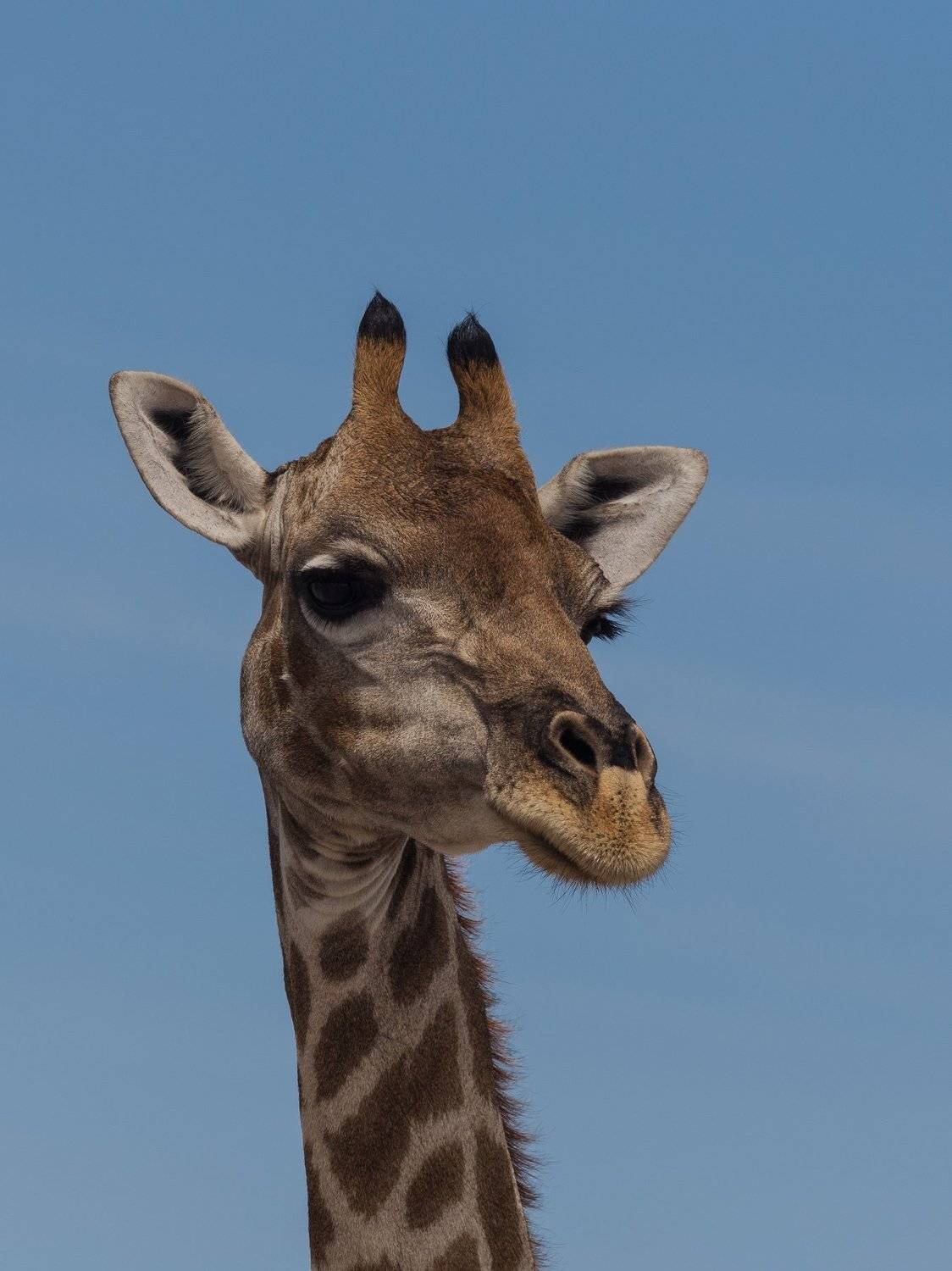 , Гайдабуров Сергей