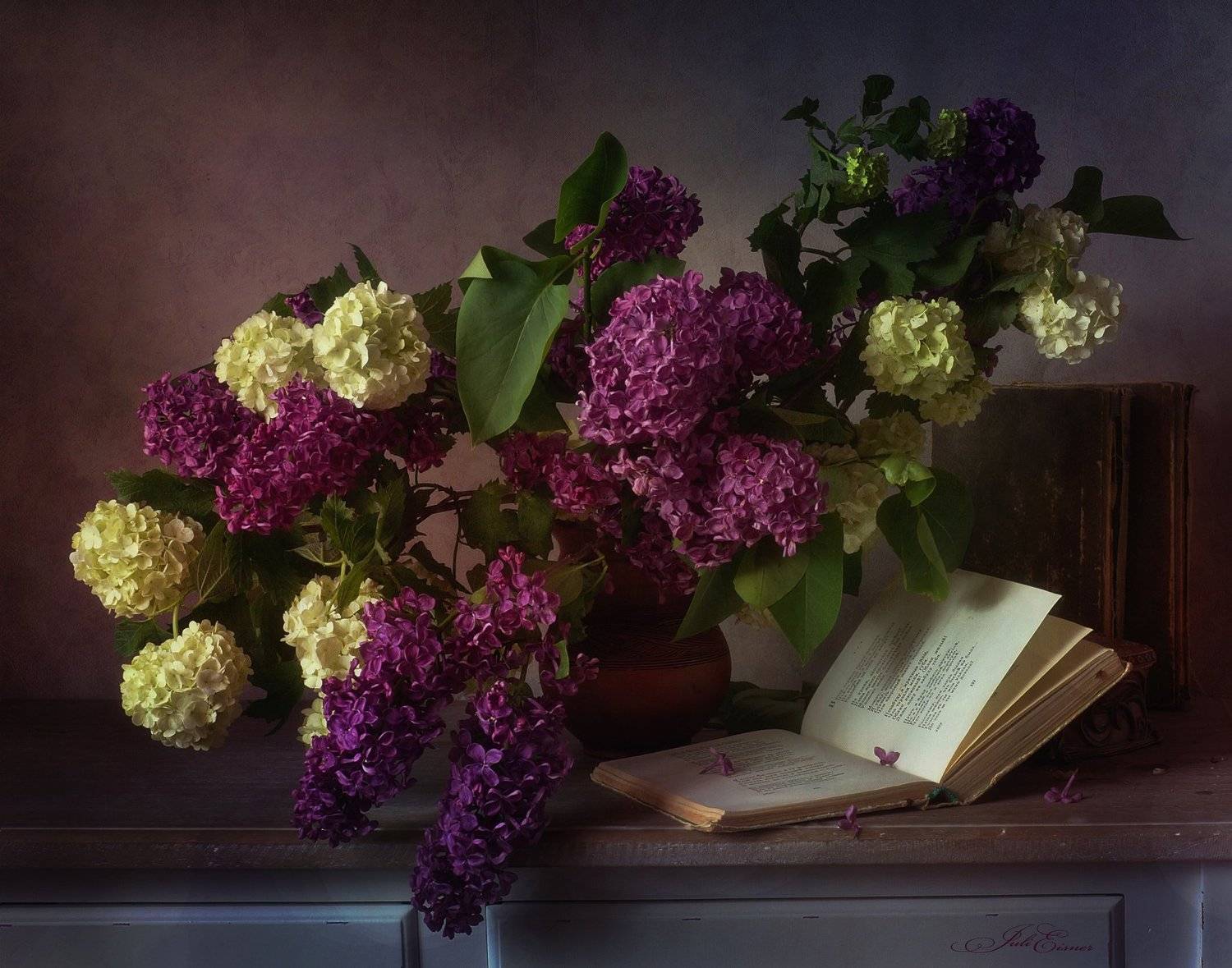 , Айснер Юлия