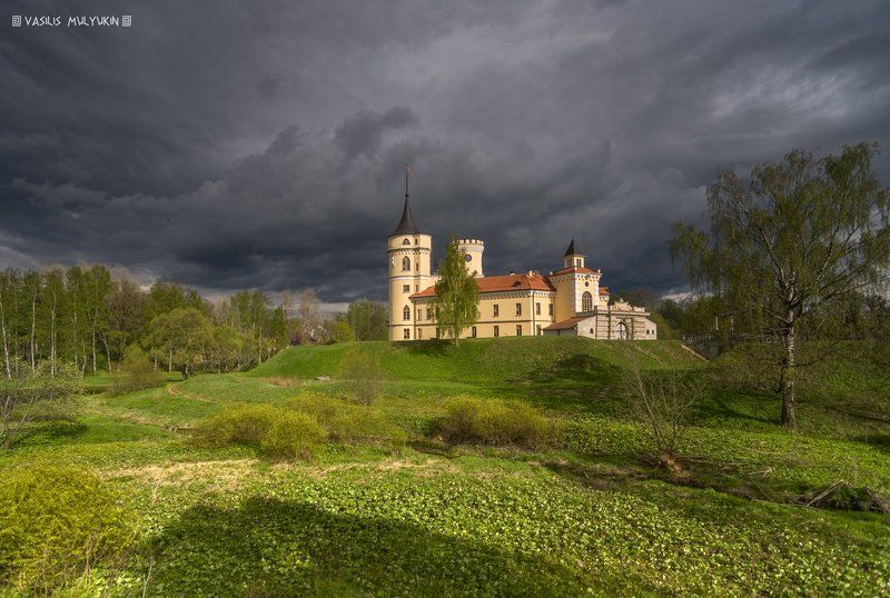 В павловском парке фото превью