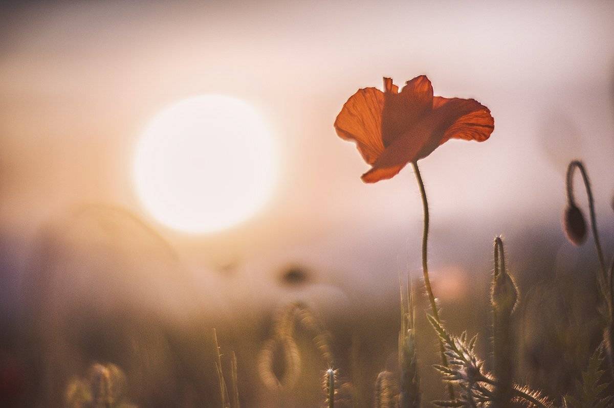 , Татьяна Аверина