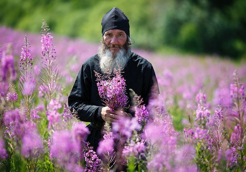 Иван чай фото превью