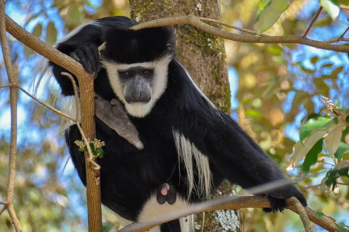 персонаж, Александр Маркелов