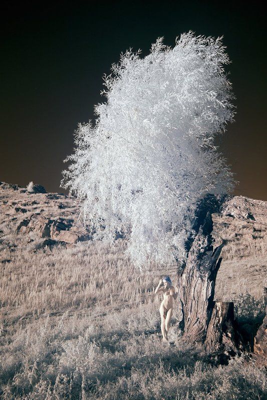 landscape,nude,nu,tree,girl,ir,infrared, Ландшафт моих воображений. (1) фото превью