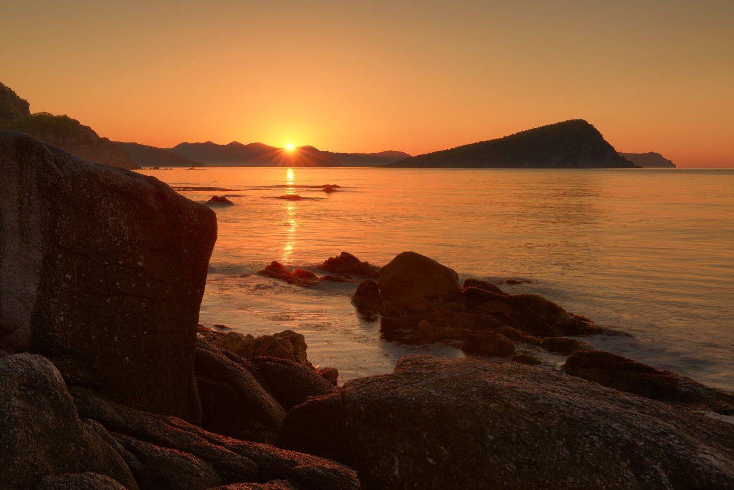 , Максим Евдокимов (www.wildphotorus.ru)