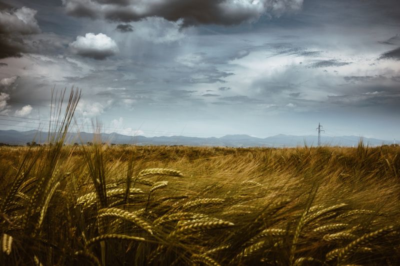 Summer mood фото превью