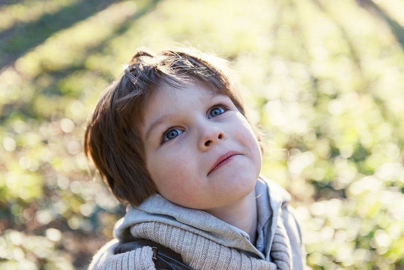 фото превью