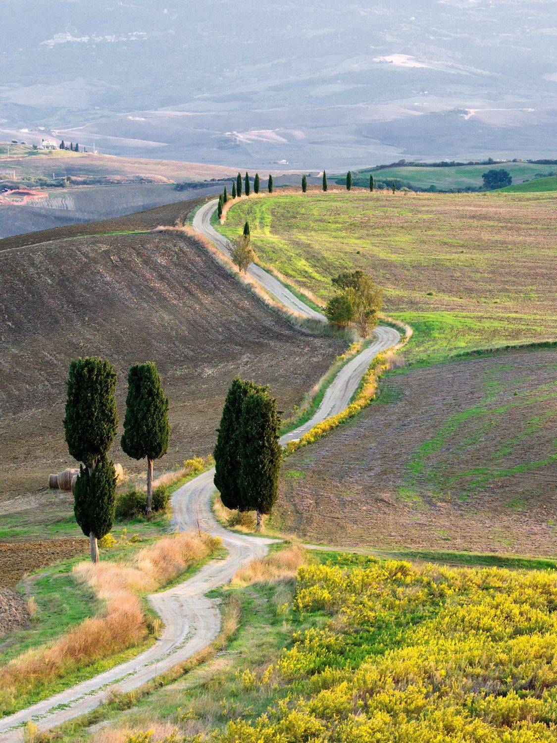 тоскана, дорога домой, путешествие, tuscany, italy, pienza, дорога гладиатора, toscana, Ефименко Татьяна