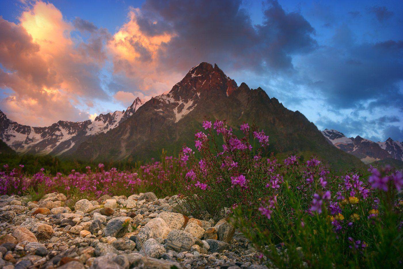 , Елена Брежицкая