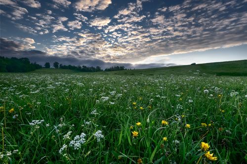 Холодное летнее утро... /