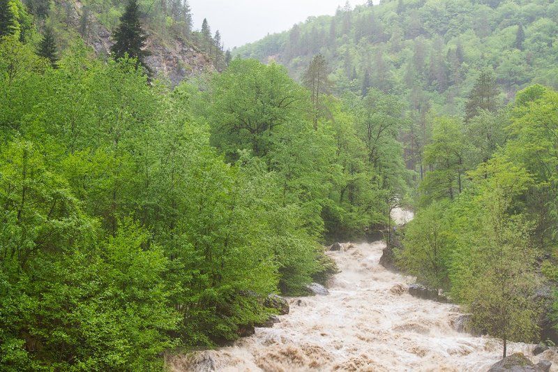 Прекрасная непогода фото превью