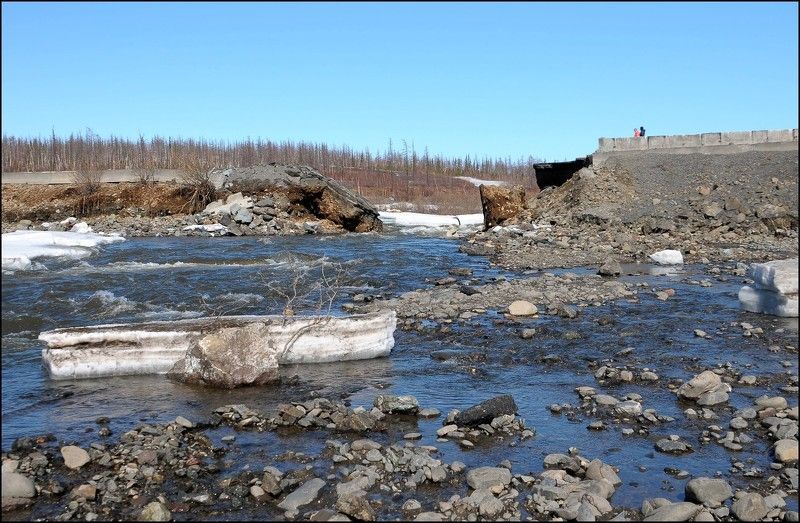 Таймыр,июнь,лето Таймыр.Июньские мотивы. фото превью