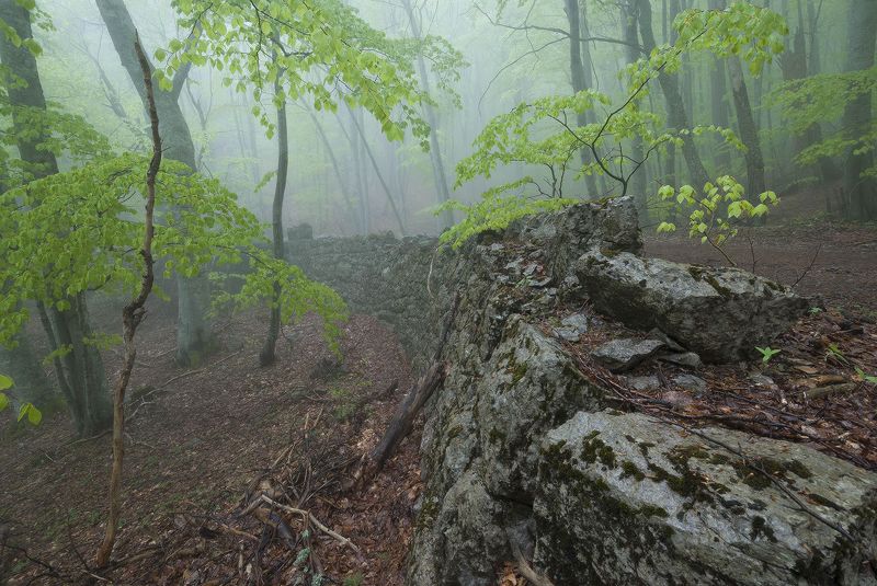 О новой жизни у старых стен.... фото превью
