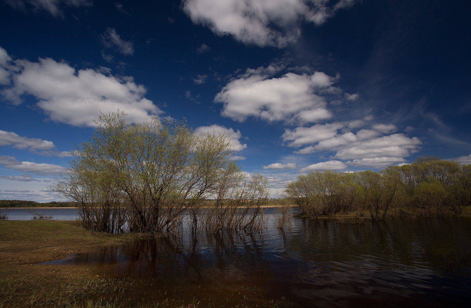 , Поташев Александр