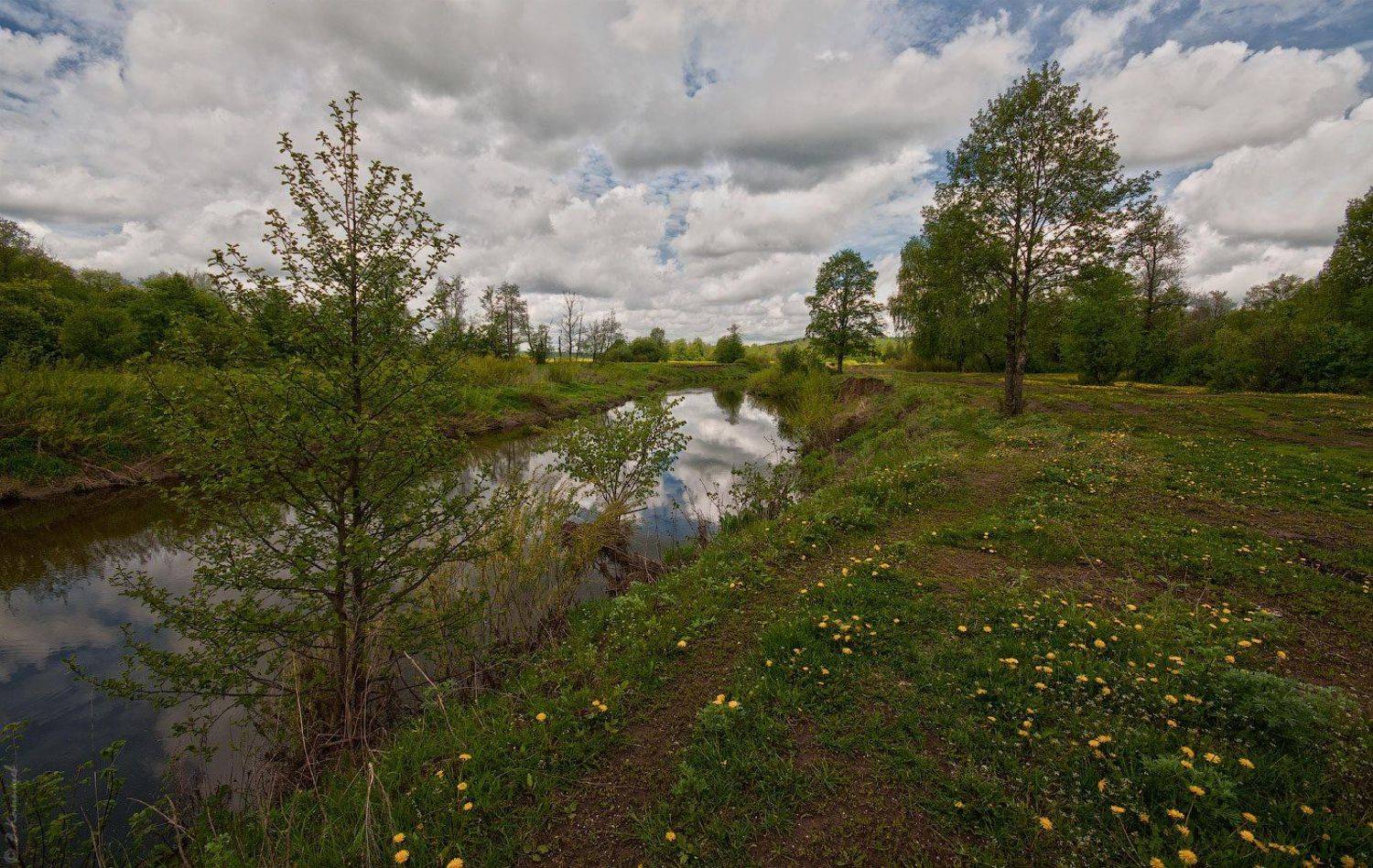 , Владимир Комышев