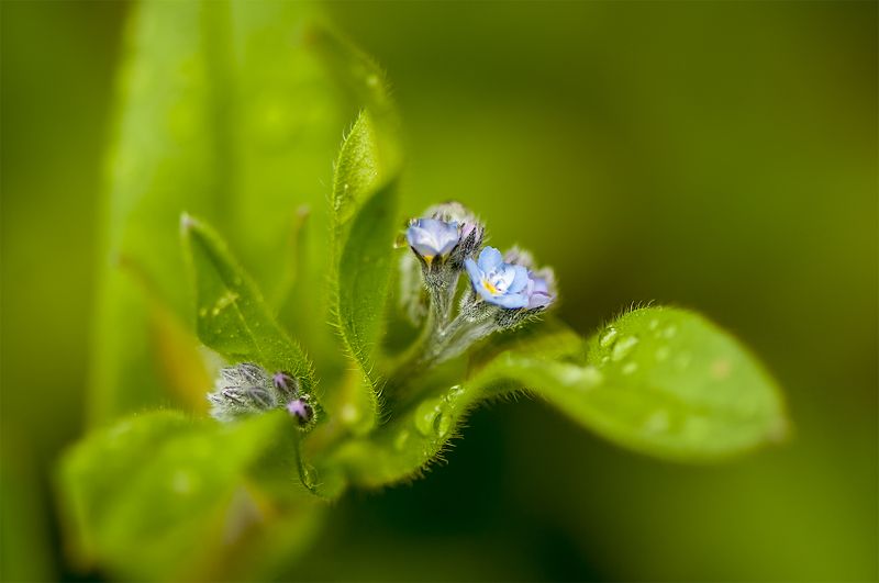 Summer silence фото превью