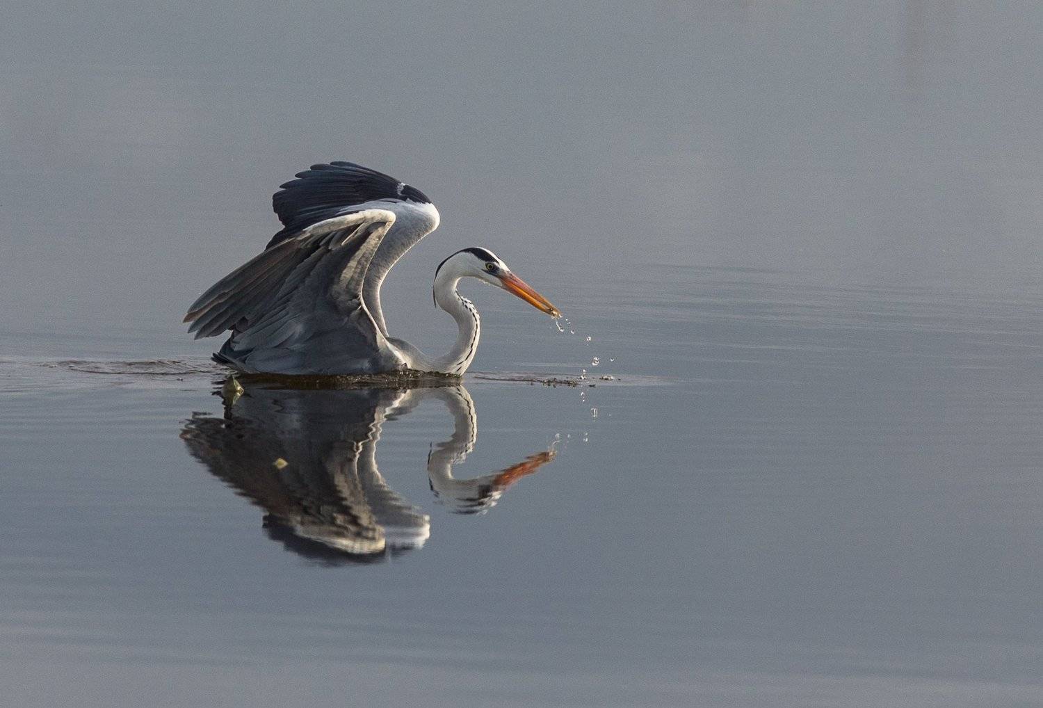 , Гайдабуров Сергей