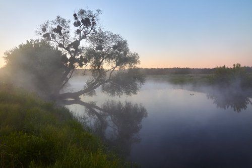 Утро на реке
