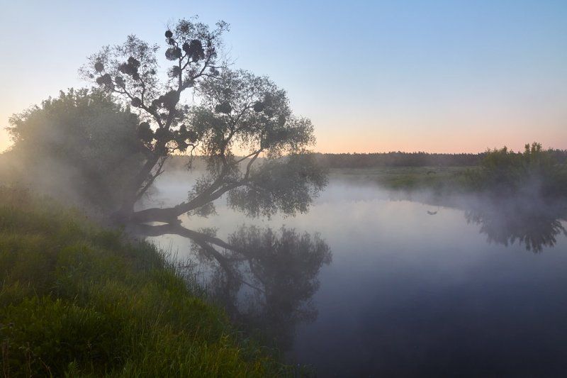 утро, река, туман Утро на реке фото превью