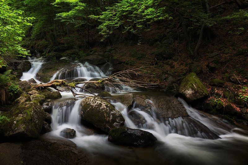 река Владайска фото превью