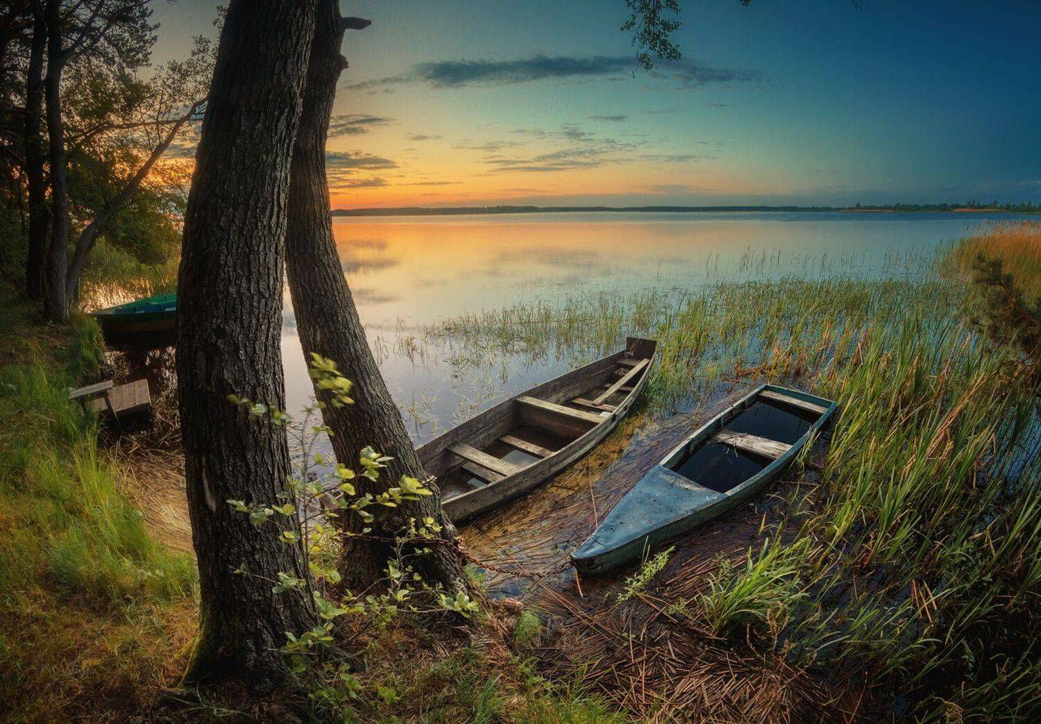 Белаусь, Серж Домбровский