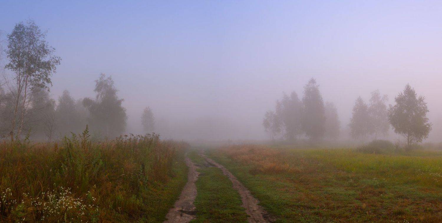 луг, лето, август, рассвет, туман, Галанзовская Оксана
