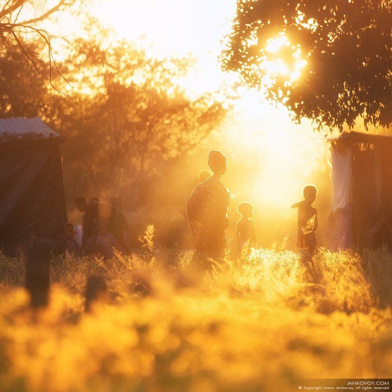 бушмен, сан, намибия, африка, племя, деревня, вечер, закат,  сонква, масарва, басарва, куа, саан, свет, лучи, солнце, поле,   bushmen, saan, san, namibia, tribe, africa, tribe, evening, sunset, sun, ray, field, village SAN PEOPLE (деревня Бушменов) фото превью