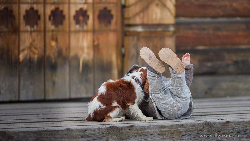 мальчик дети ребенок малыш собака щенок Друзья продолжение фото превью