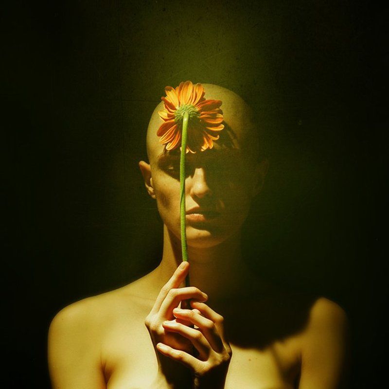 *** фото превью