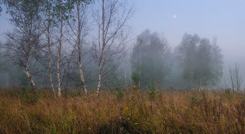 Предрассветная тишина