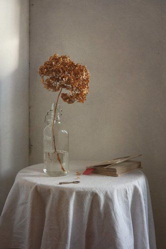 белый вечер