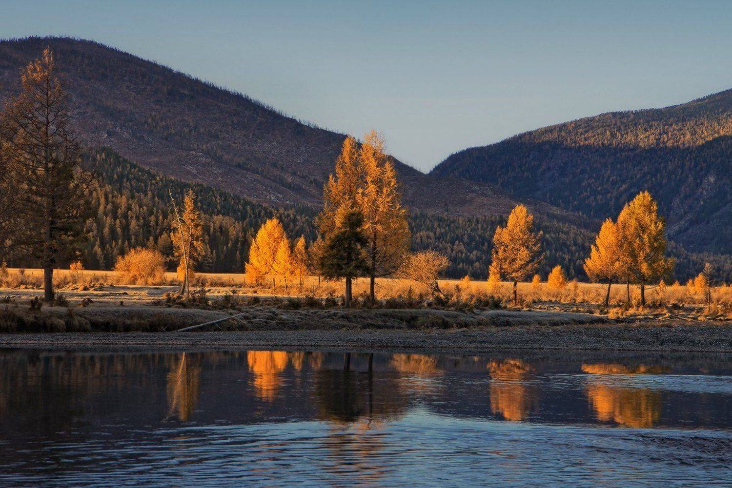 , Галина Хвостенко