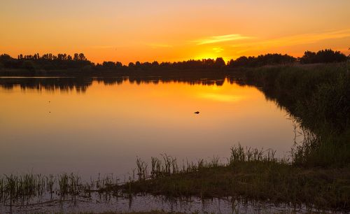 На изгибе реки