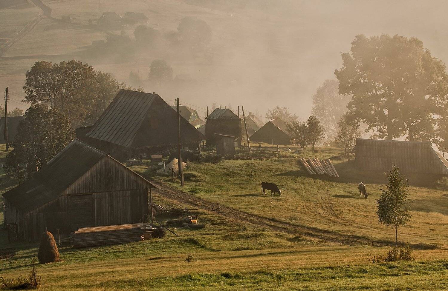 карпаты,	утро, хутор, сенечив, Михаил Глаголев