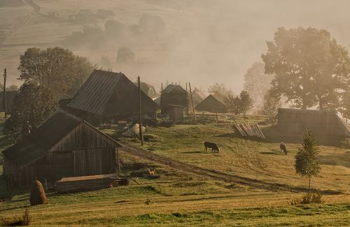 утро на хуторе...